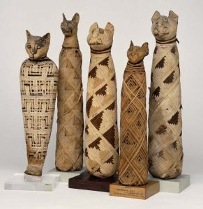 Cat Mummies at The British Museum London